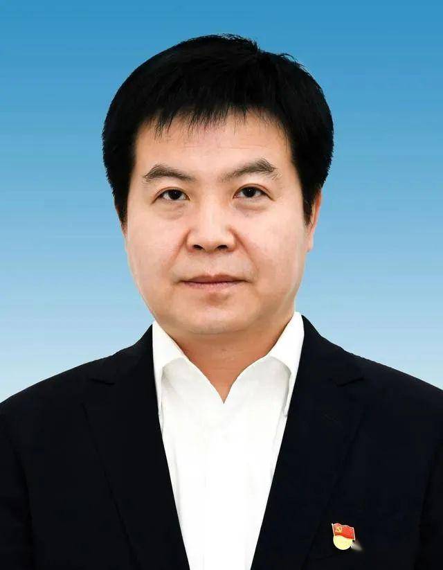 陜西人事任命最新動態(tài)揭秘，人事任命步驟指南