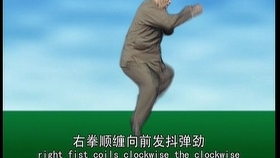 太極最新版本下載，時(shí)代技術(shù)結(jié)晶，全新體驗(yàn)等你來探索