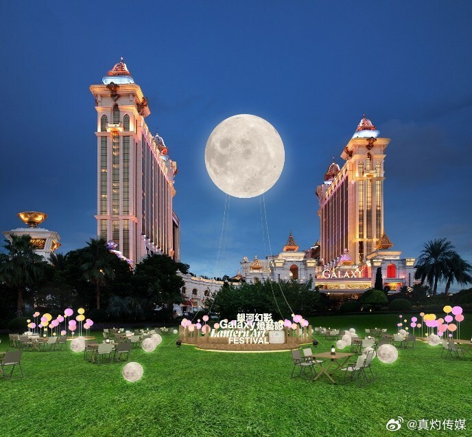 ＂澳門一肖一碼100%精準(zhǔn)的背景故事＂的：植物保護_高效版8.4