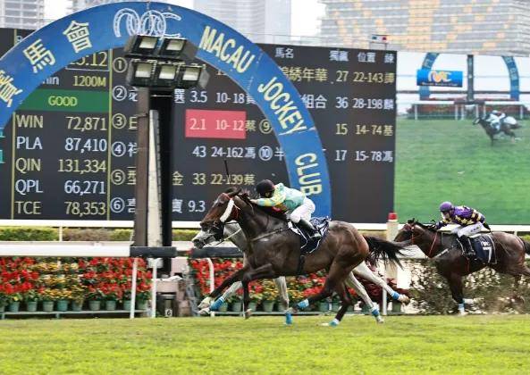 ＂澳門開特馬+開獎結果課特色抽獎＂的：實時處理解答計劃_運動版9.54