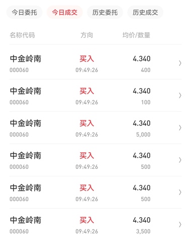 中金嶺南行情深度解析，最新動態(tài)與走勢分析