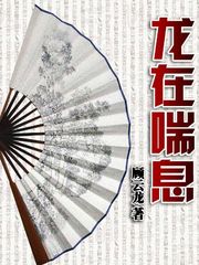醫(yī)鼎最新章節(jié)閱讀，溫馨日常與友情紐帶的奇妙交織