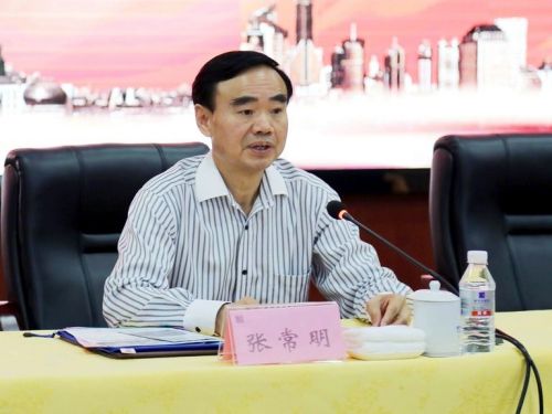揭秘張常明最新消息，小巷中的隱藏瑰寶