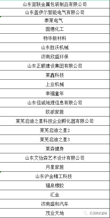 萊蕪金點(diǎn)子招聘，引領(lǐng)科技潮流，打造智能未來生活招聘新體驗(yàn)
