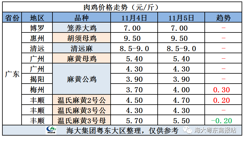 廣東雞價(jià)最新行情，心靈與自然的旅行交響曲